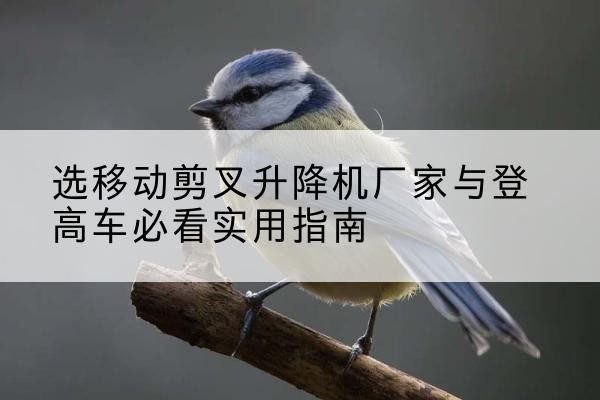 赣电动升降机厂家-选移动剪叉升降机厂家与登高车必看实用指南
