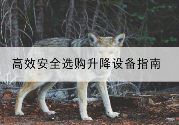 赣升降货梯厂家推荐-*安全选购升降设备指南